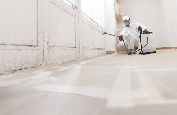 24/7 Emergency Mold Remediation experts in Sachse, TX